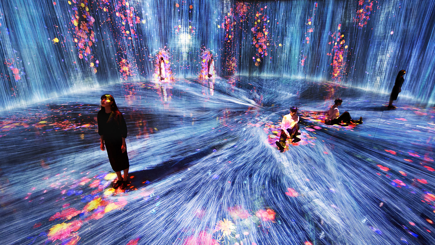 The best interactive displays for every business